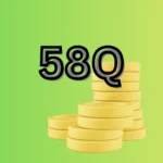 58Q (2)