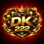 DK222 GAME (2)