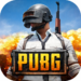 PUBG (2)